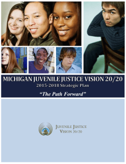 Michigan Juvenile Justice – Vision 20/20