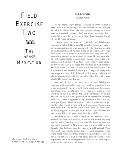 free pamphlet - Strategic Living