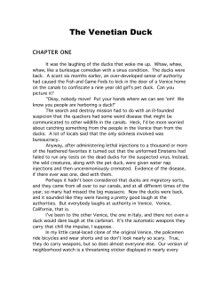 The Venetian Duck