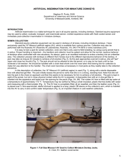 artificial insemination for miniature donkeys