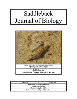 Volume 4, Spring 2006