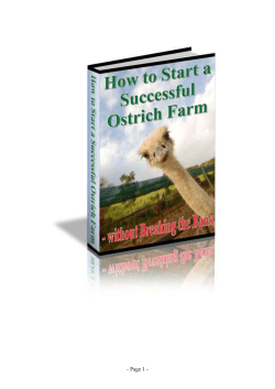 Part 1 of 5 &ndash; Starting an Ostrich Farm - doc-developpement
