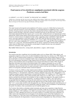 Lepoint et al MBR2006 - ORBi