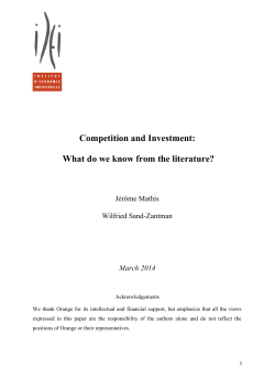 Competition and Investment: What do we know from the