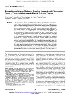 Dietary Energy Balance Modulates Signaling through the Akt