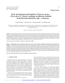 Early development and nutrition of Norway spruce