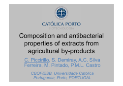 Pseudomonas sp. - Universidade Cat&oacute;lica Portuguesa