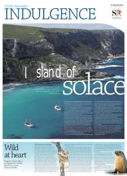 Island of Solace  - LifeTime Private Retreats