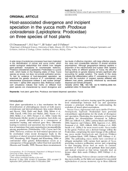 Host-associated divergence and incipient speciation in the yucca