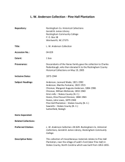 LW Anderson Collection - Pine Hall Plantation