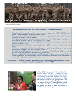 Tiger, Lion bones and rhino horn