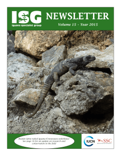 NEWSLETTER - Iguana Specialist Group