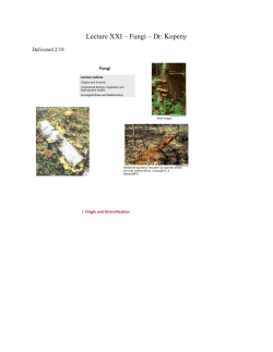 Lecture XXI &ndash; Fungi &ndash; Dr - Faculty Web Sites at the University of