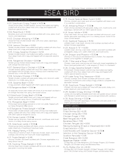 print - SEA BIRD