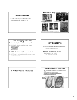Announcements KEY CONCEPTS Internal cellular structure