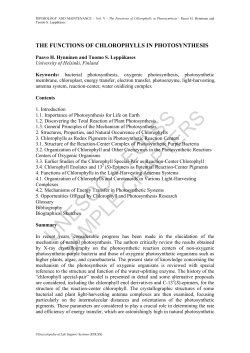 The Functions of Chlorophylls in Photosynthesis
