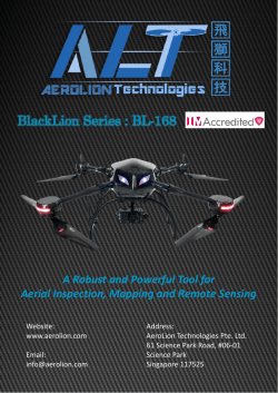 BlackLion-168 Brochure