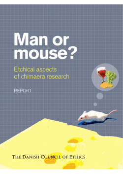 Man or Mouse?