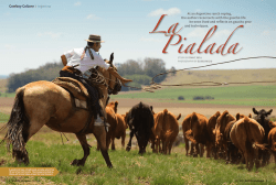 Cowboy Culture Argentina