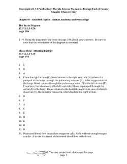 Chapter 8 Answer Key