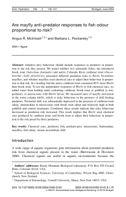 Are mayfly anti-predator responses to fish odour proportional to risk?