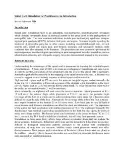 Spinal Cord Stimulation for Practitioners