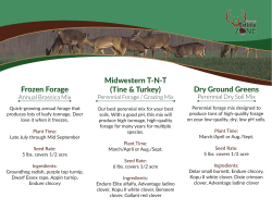 Frozen Forage Dry Ground Greens Midwestern