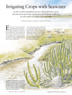 Irrigating Crops with Seawater