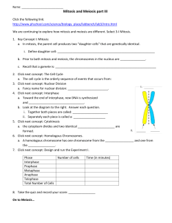 Mitosis and Meiosis part III