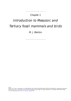 Mesozoic and Tertiary Fossil Mammals and Birds of Great Britain