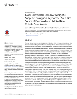 Foliar Essential Oil Glands of Eucalyptus Subgenus Eucalyptus