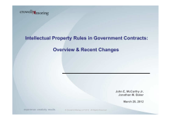 "Intellectual Property Rules in Government Contracts: Overview