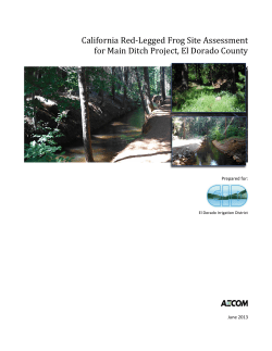 California Red-Legged Frog Site Assessment for Main Ditch Project