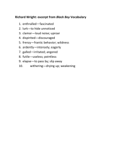 Black Boy excerpt vocabulary list