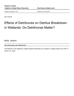 Effects of Detritivores on Detritus Breakdown in Wetlands: Do