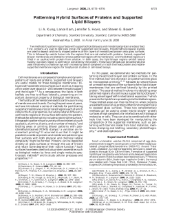Patterning Hybrid Surfaces of Proteins and Supported Lipid Bilayers