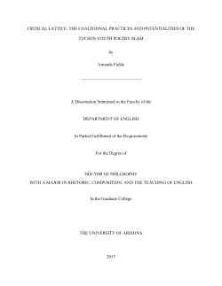CRITICAL LATTICE: THE COALITIONAL PRACTICES AND
