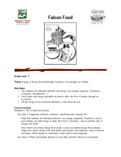 Title: It`s Alive (or is it