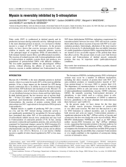 Myosin is reversibly inhibited by S-nitrosylation