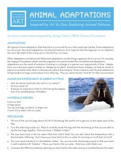 ANIMAL ADAPTATIONS