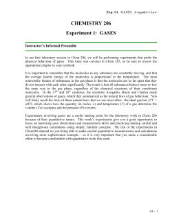 CHEMISTRY 206 Experiment 1: GASES