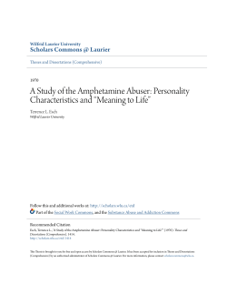 A Study of the Amphetamine Abuser: Personality Characteristics and