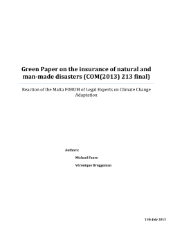Green Paper on the insurance of natural and man