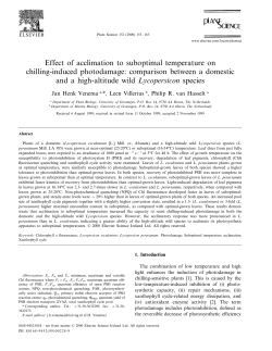 Effect of acclimation to suboptimal temperature on chilling