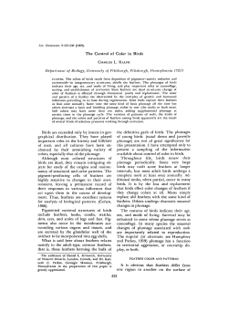 The Control of Color in Birds Birds are exceeded only by insects in