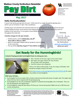 Current Horticulture Newsletter "Pay Dirt"
