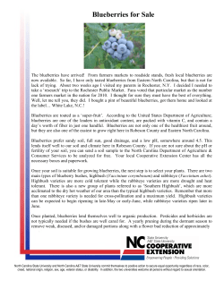 Blueberries for Sale - Robeson County Center