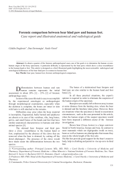 Forensic comparison between bear hind paw and human feet. Case