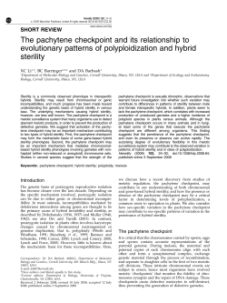 The pachytene checkpoint and its relationship to