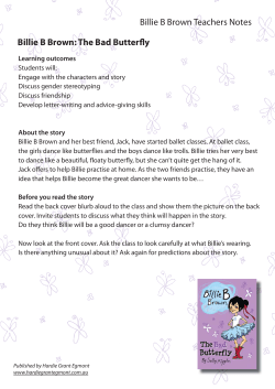 Billie B Brown Bad Butterfly